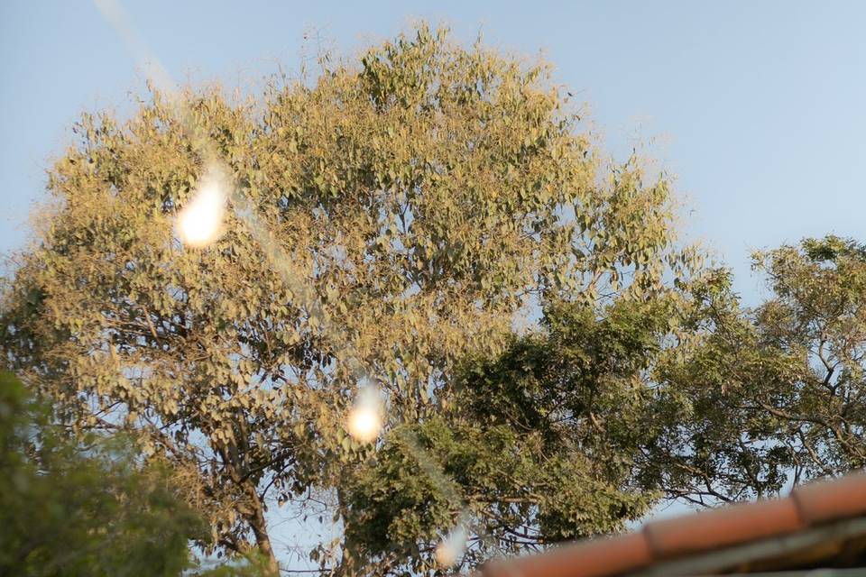 Detalhes
