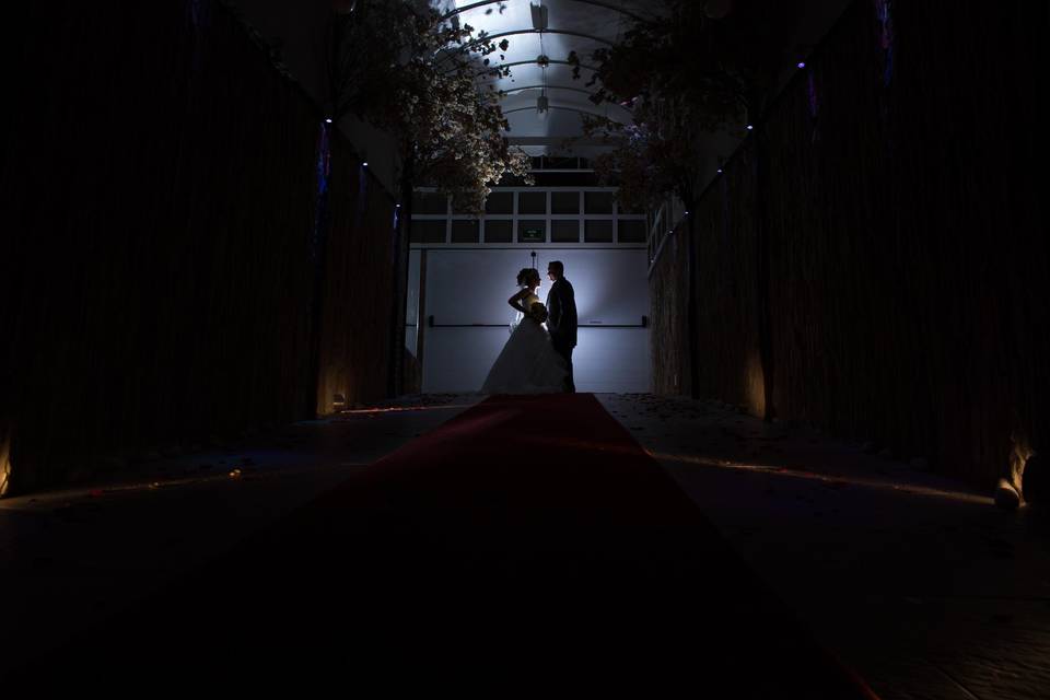 Fotos