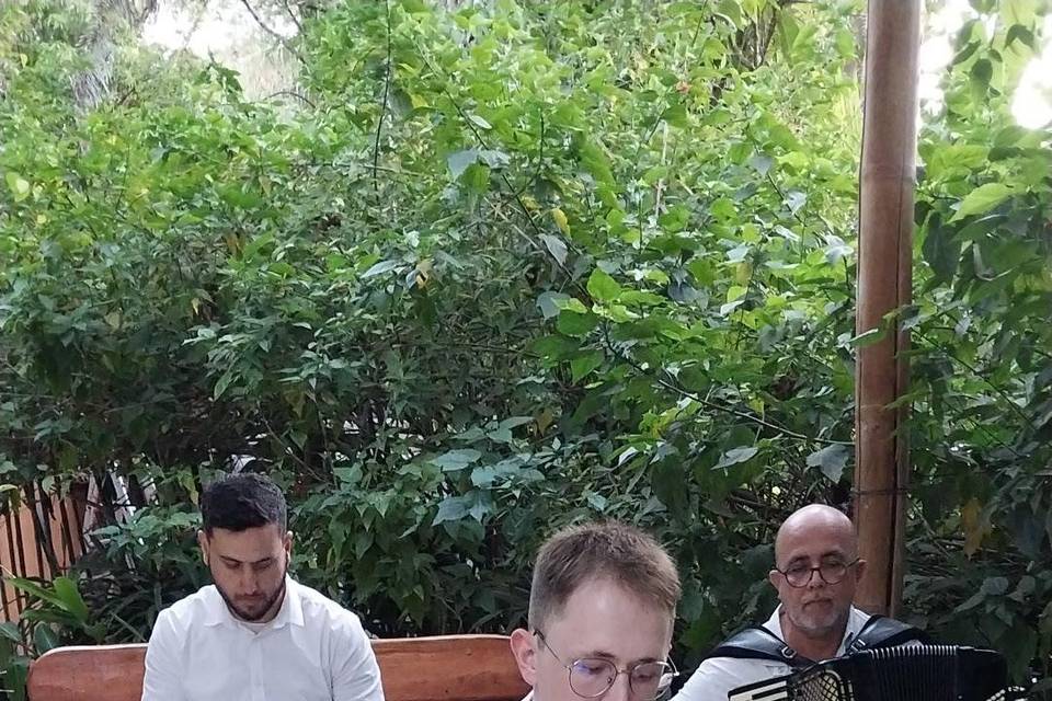 Música de Casamento