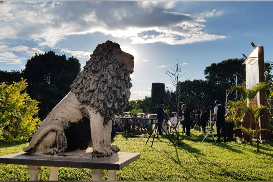 Escultura de leões na entrada