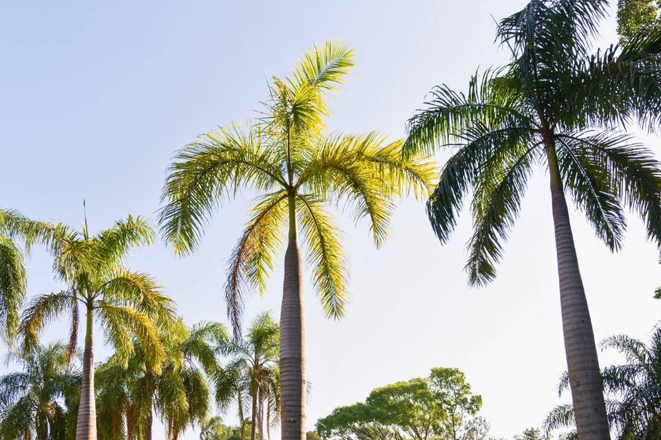 Cenário paradisíaco