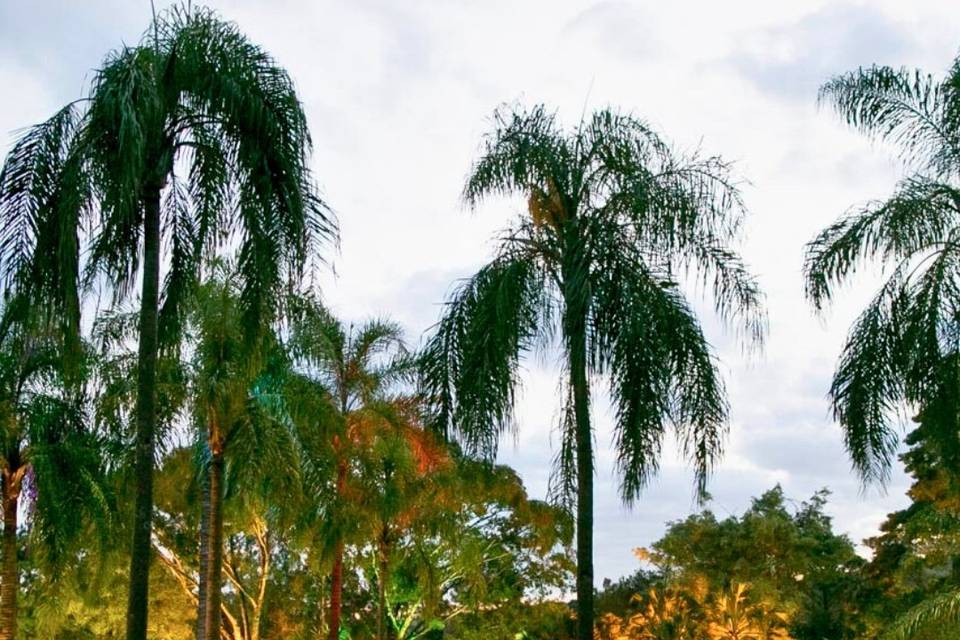 Beleza natural da fazenda
