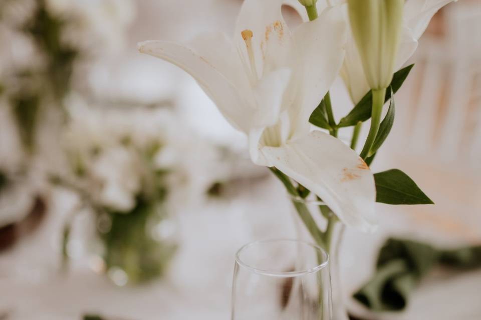 Carina Florista Eventos