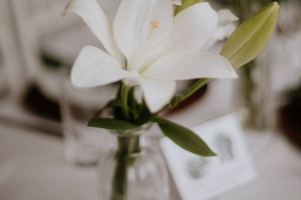 Carina Florista Eventos