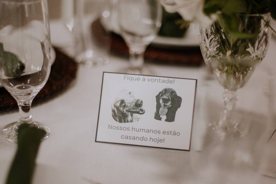 Carina Florista Eventos