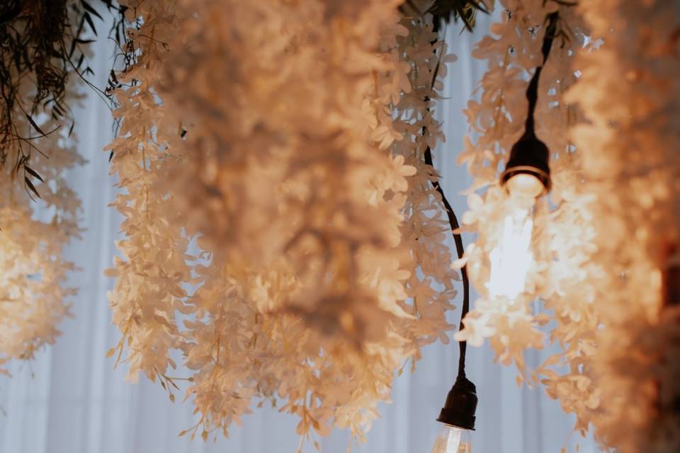 Carina Florista Eventos