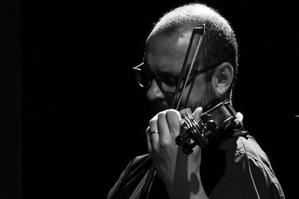 Mr violino