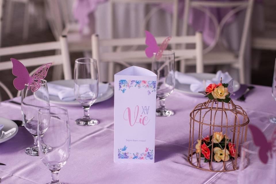 XV anos da Vic