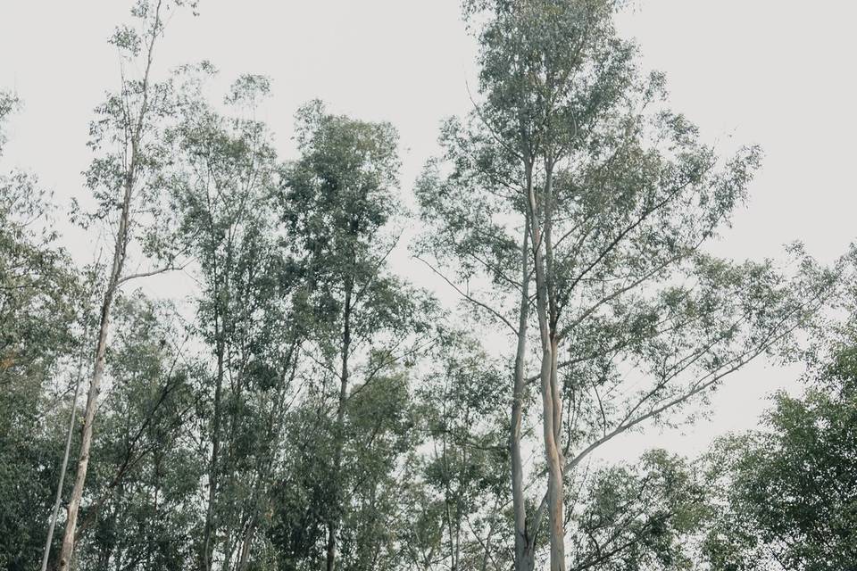 Ensaio Pré Wedding