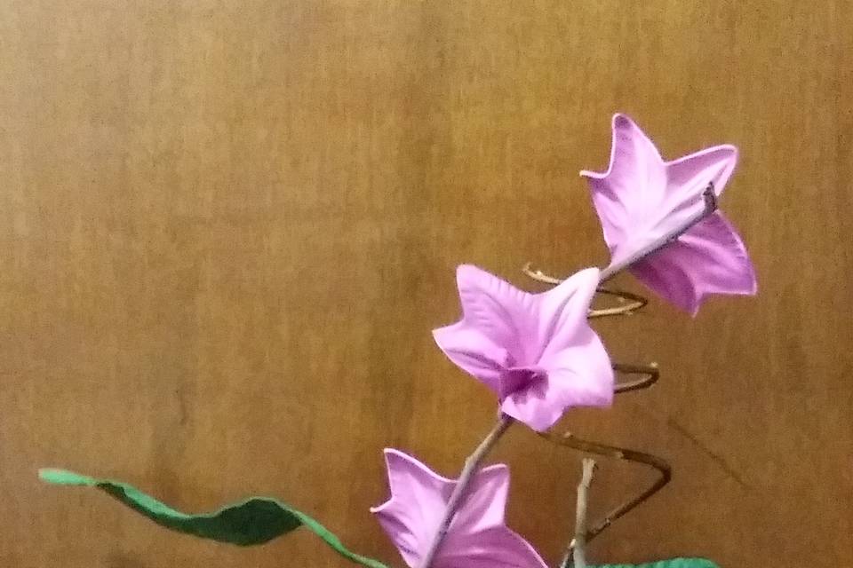 Orquídeas para decoração
