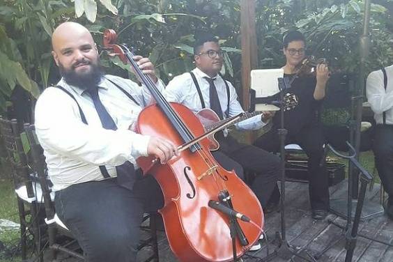 Live Música e Arte