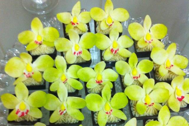 Caixeta Orquidea
