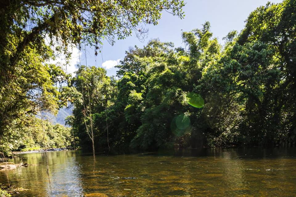 Rio Ipiranga no jardim