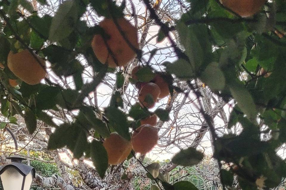 Espaço para cerimônia