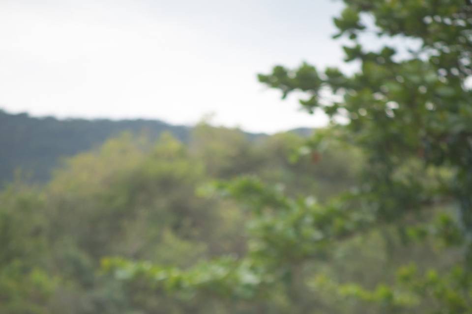 Casamento Camila & Uli