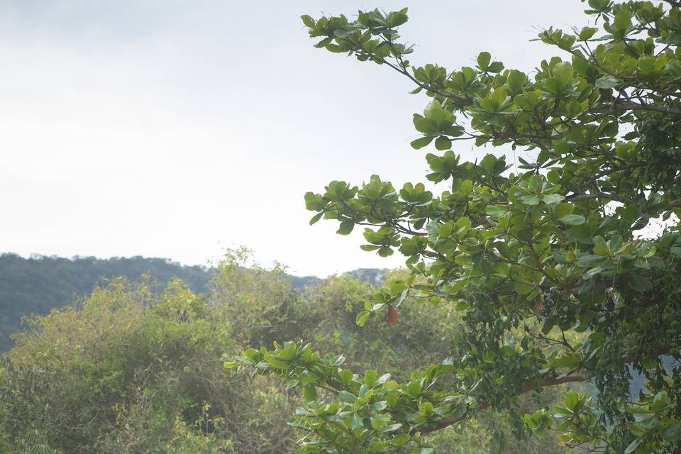 Casamento Camila & Uli