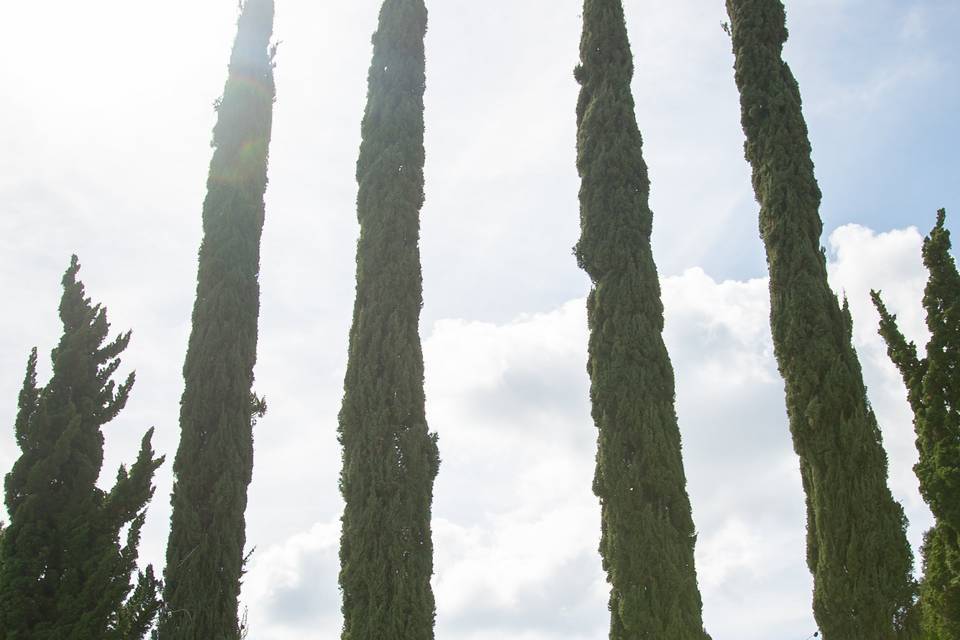 Casamento Gabriela & Leandro