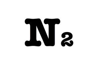 n2 logo