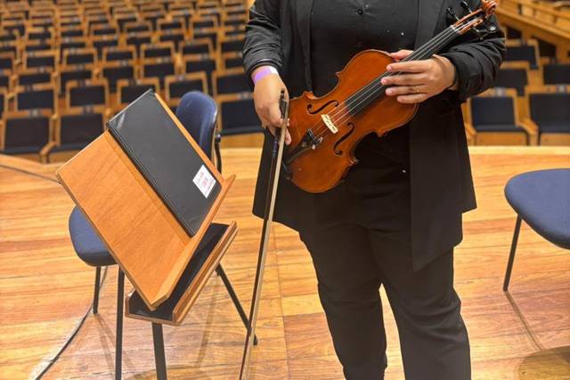 Violino_Thamyris