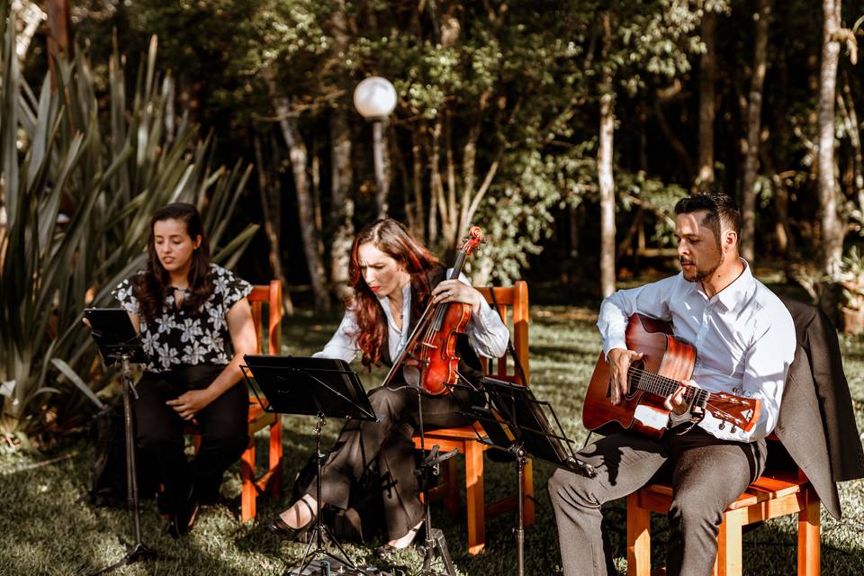 Trio Voz, violino e violão