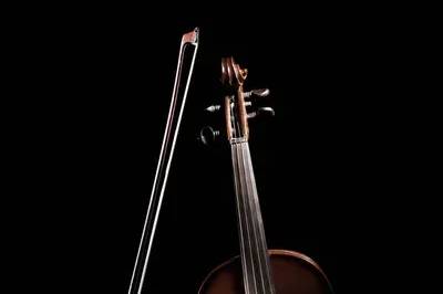 Imagem_violino