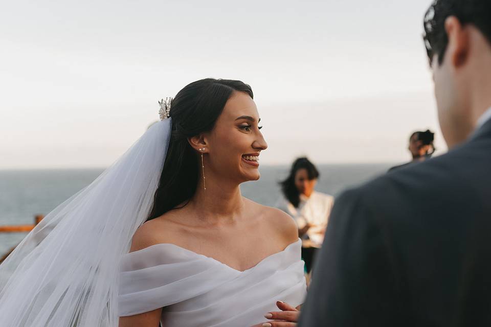 Vestido de Organza