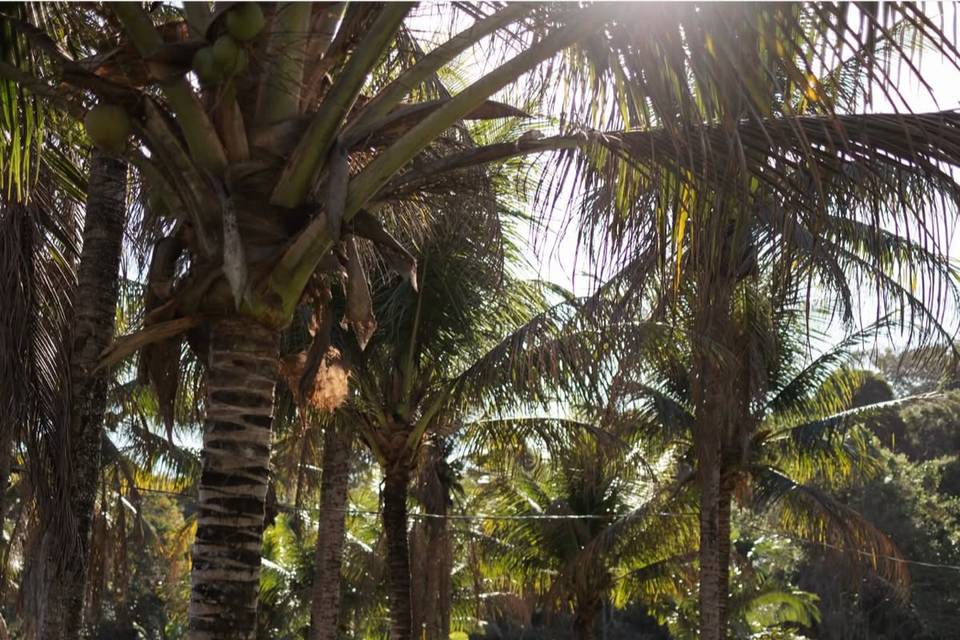 Sitio Paraiso Elegance