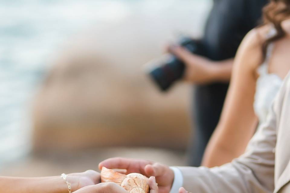 Fotografia de Casamento