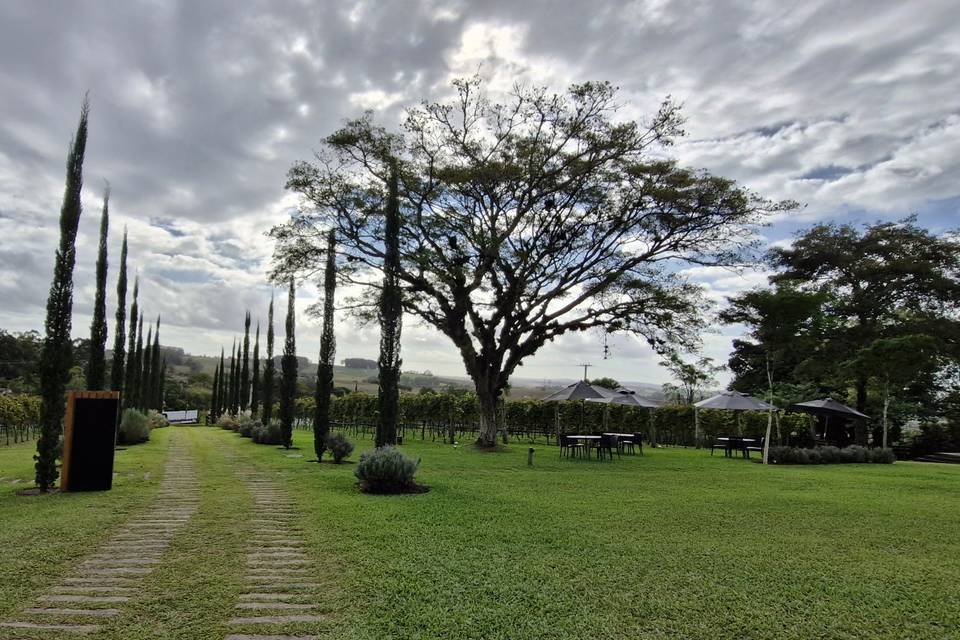 Entrada