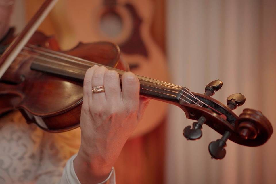 VIOLINISTA DO GRUPO