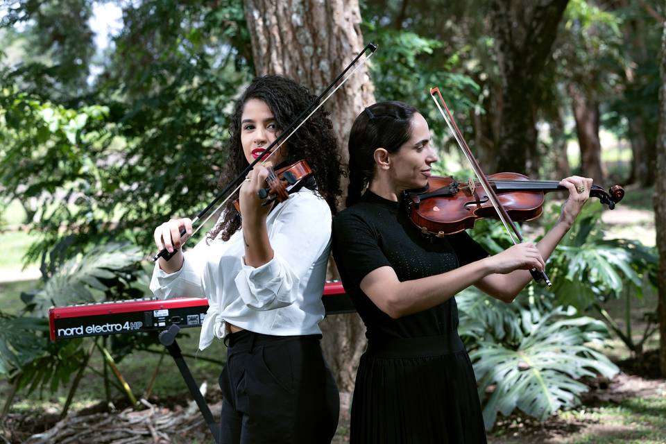 Violinistas do melodia do amor