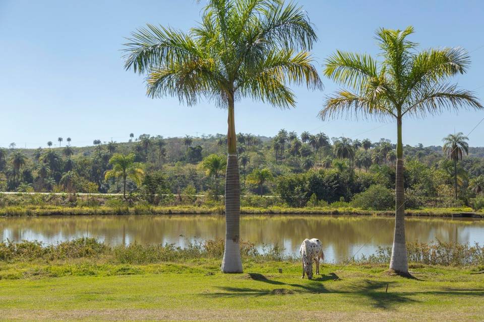 Hotel Fazenda Moinho