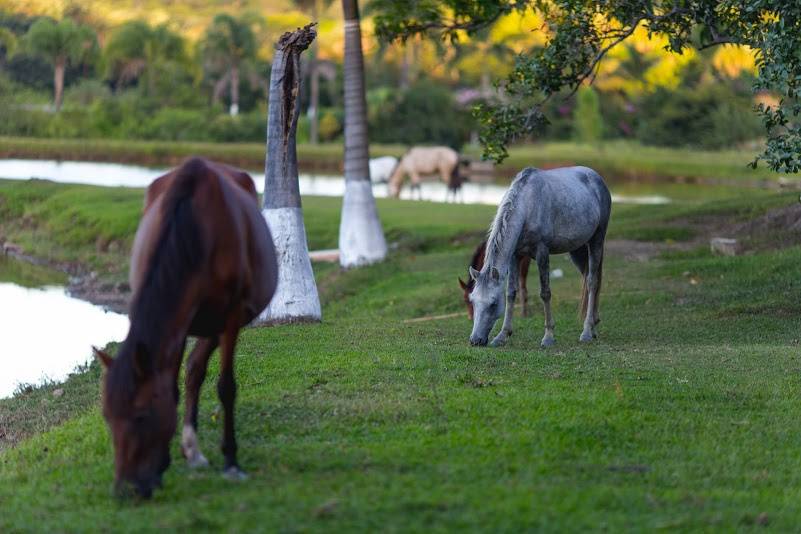 Hotel Fazenda Moinho