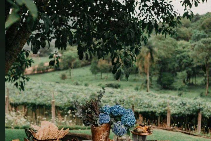 Dirce Heuser Eventos