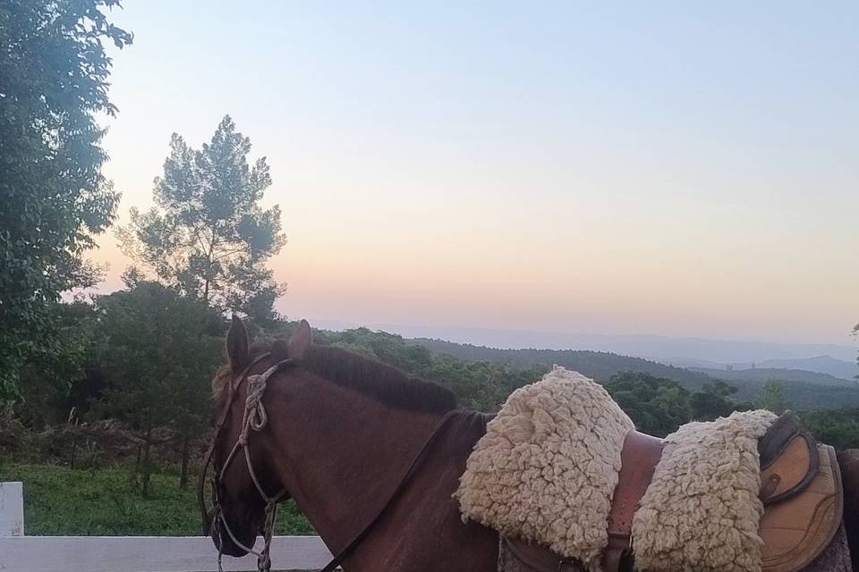 Por do sol