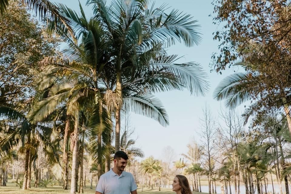 Begônia Weddings