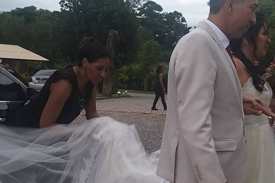 Cuidados