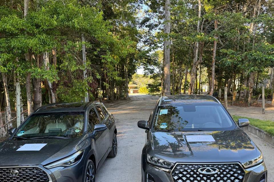 Carros executivos