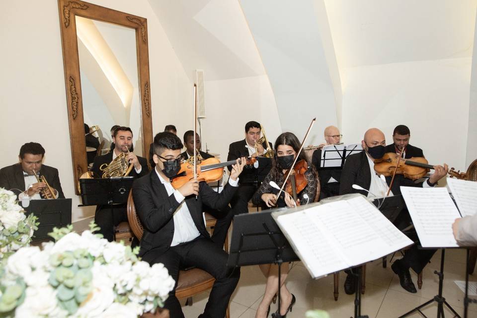 Qualidade impecável