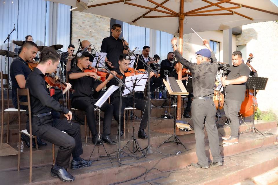 Orquestra