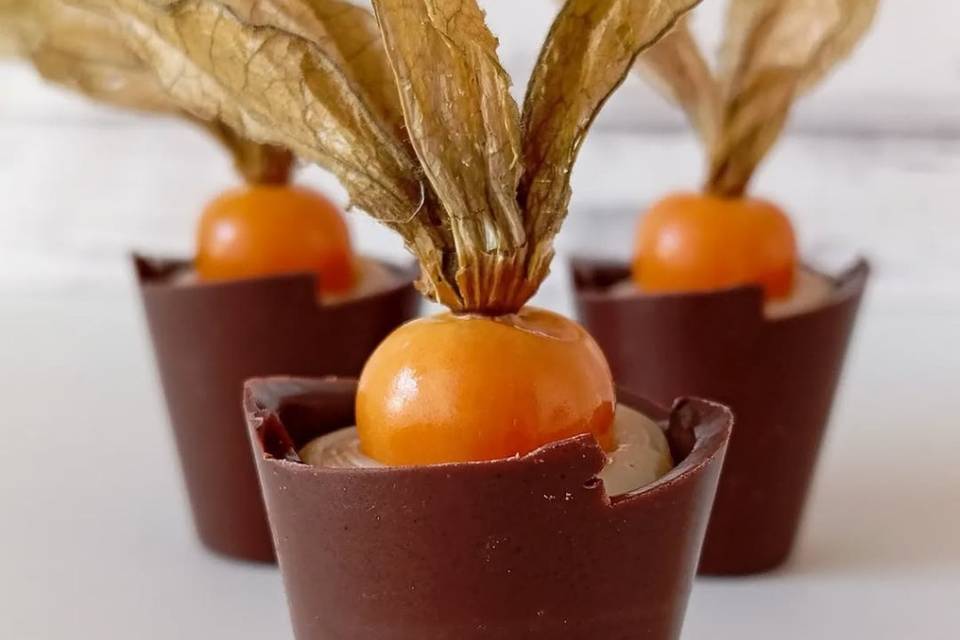 Copinho de physalis
