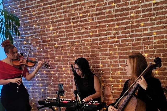 Violino + Cello + piano
