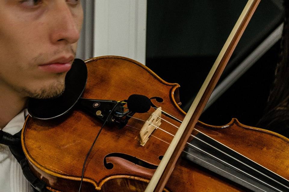 Violinista