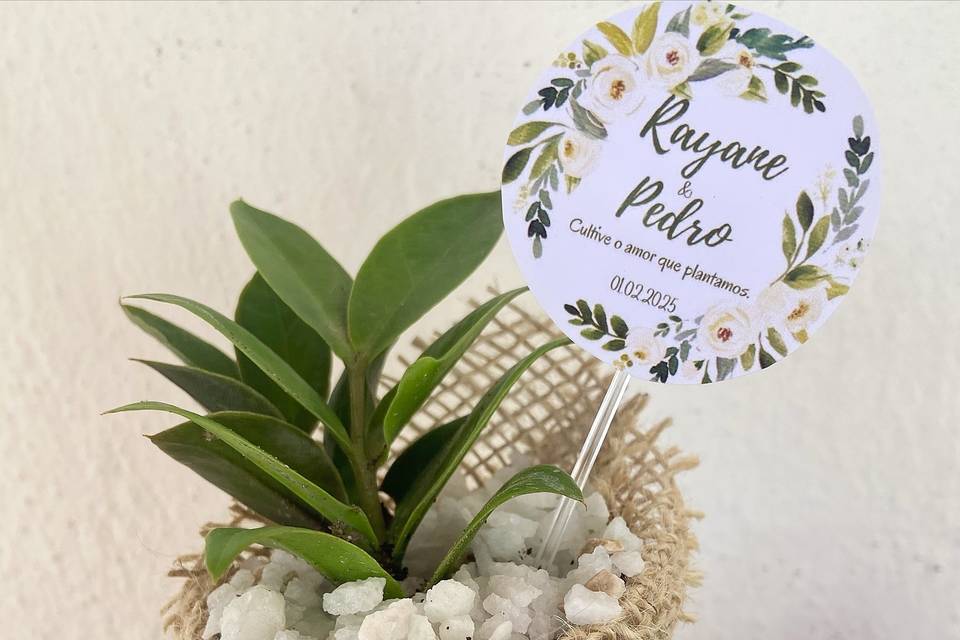Juta com laço verde
