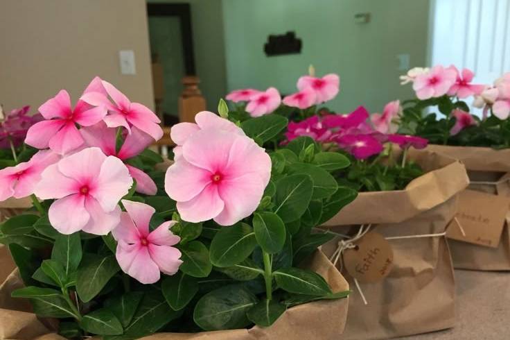 Com flores