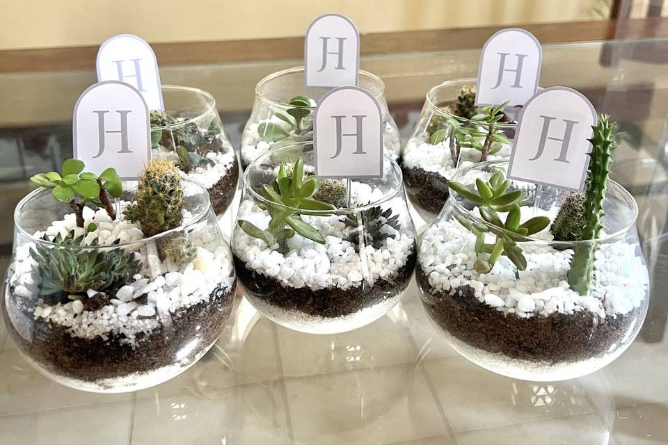 Terrário