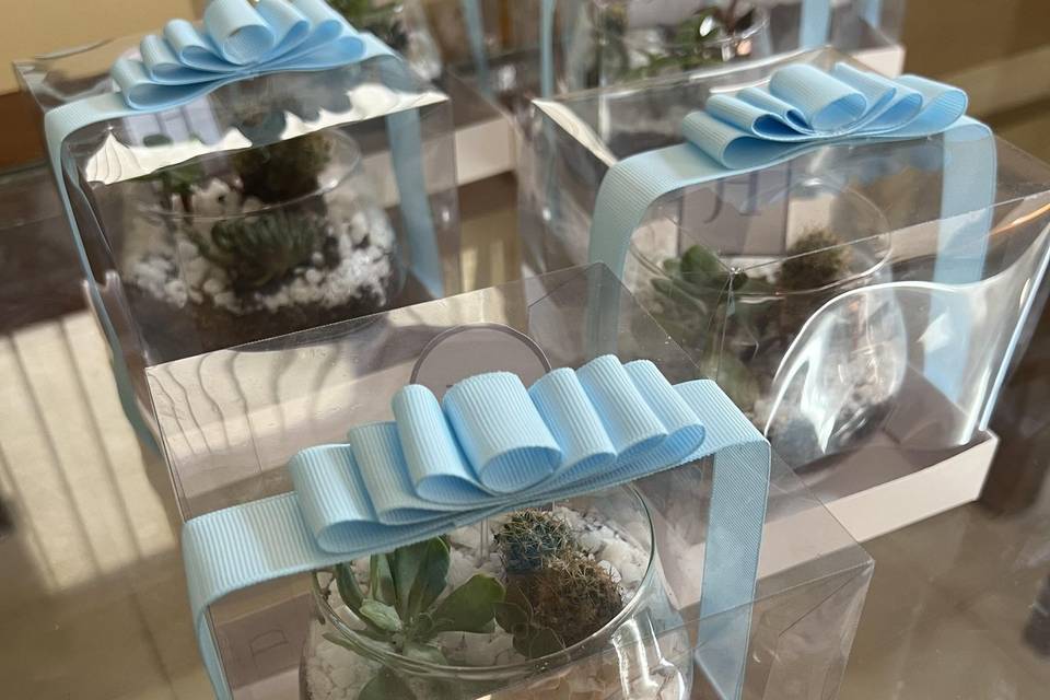 Terrário padrinhos