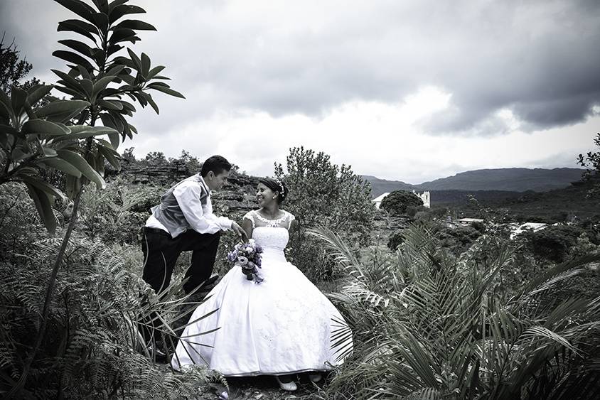 Trash the dress