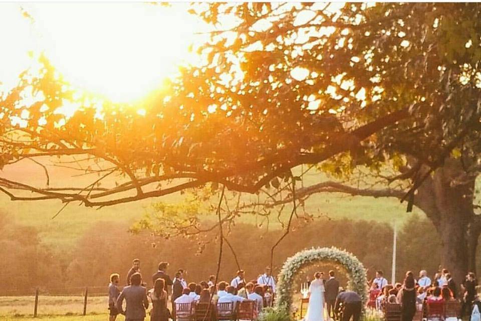 Casamento no campo