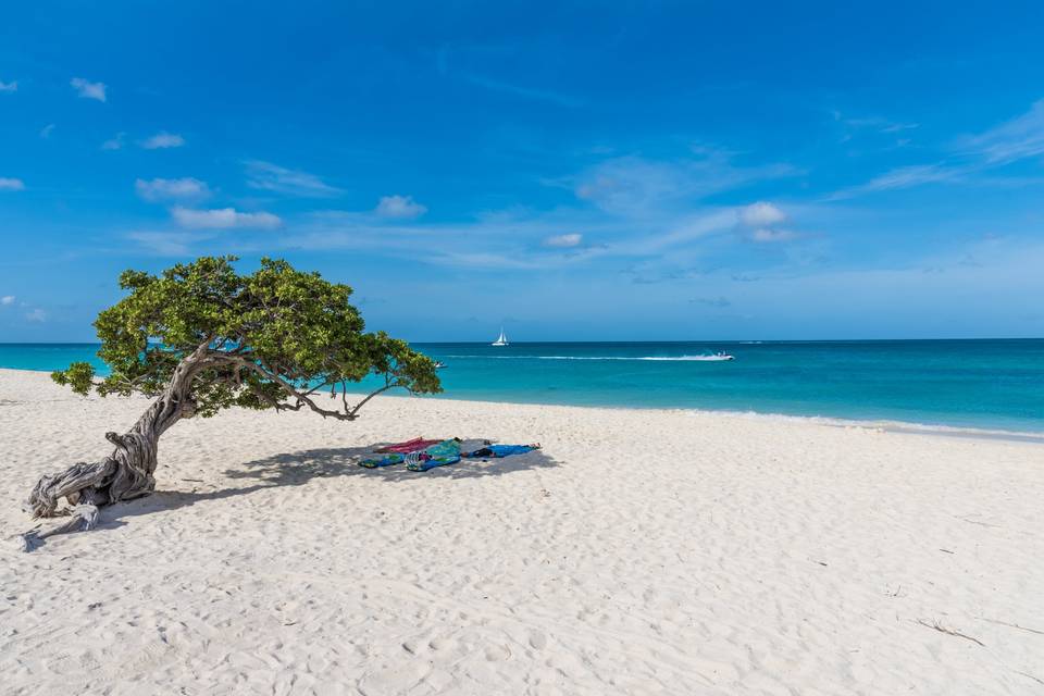 ARUBA